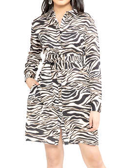 Janet Zebra Dress